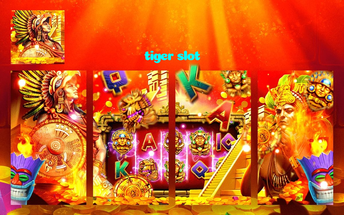 available types of tiger slot bet including pre-match live express and system bets